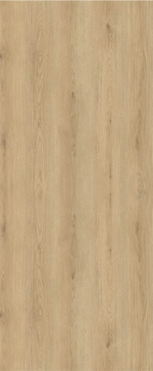 Sandy Savanna - Image 3