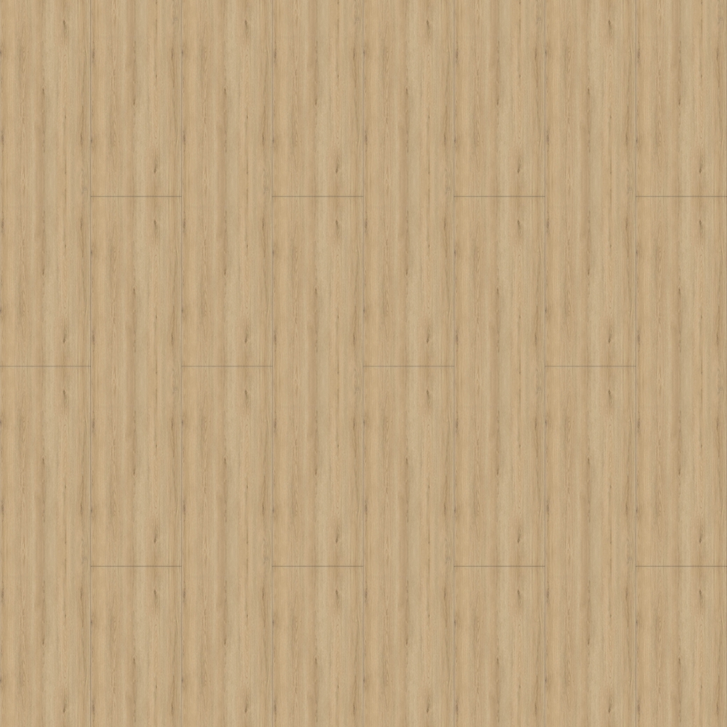 Sandy Savanna - Image 2